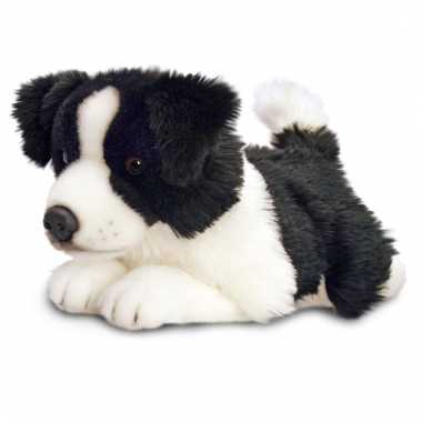 Grote border collie puppy  knuffel