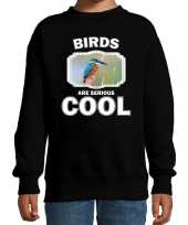 Dieren ijsvogel sweater zwart kinderen birds are cool trui jongens meisjes knuffel