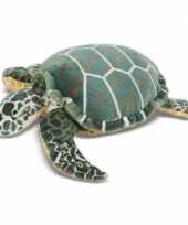 Groene zeeschildpad knuffel