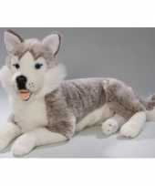 Husky honden knuffels 10081059