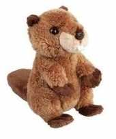Knaagdieren knuffels bever bruin