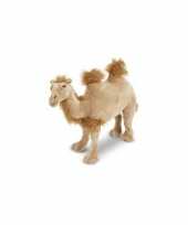Knuffel kamelen xxl