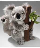 Knuffel koala baby boomstam