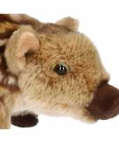 Pluche baby zwijn knuffel