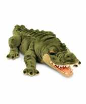 Pluche groene liggende alligator krokodil knuffel cm