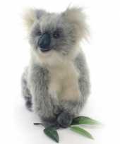 Realistische knuffel koala
