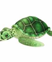 Zeedieren knuffels schildpad groen 10197032